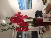 Swiss Chinese Artist David MA, DAVID MA ART - EXHIBITION, CASA DEL ARTE, 18.-23.11.14, Vernissage